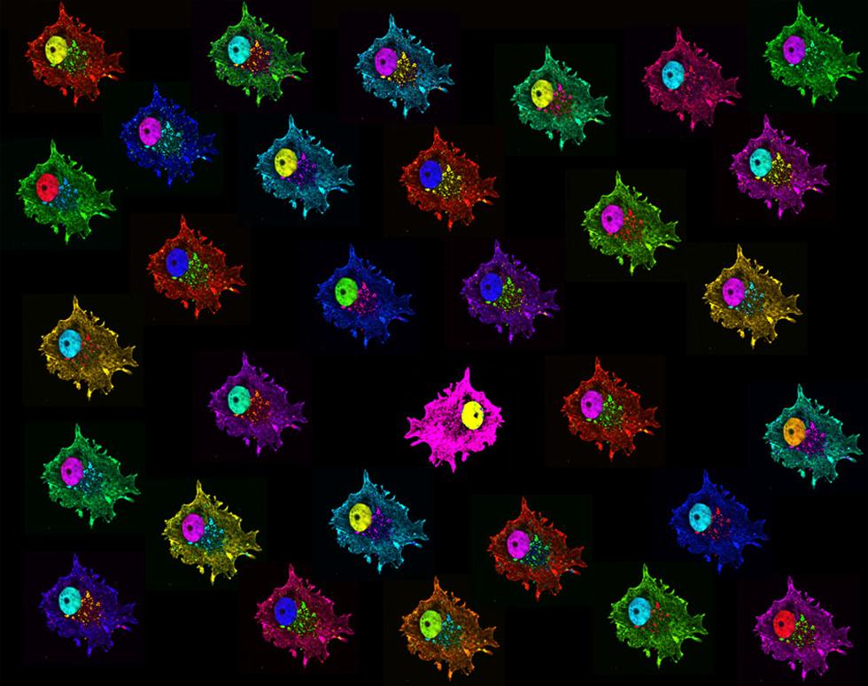 Against the Tide - Sonya James